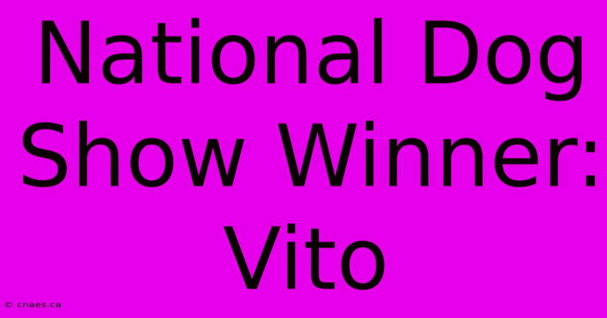 National Dog Show Winner: Vito