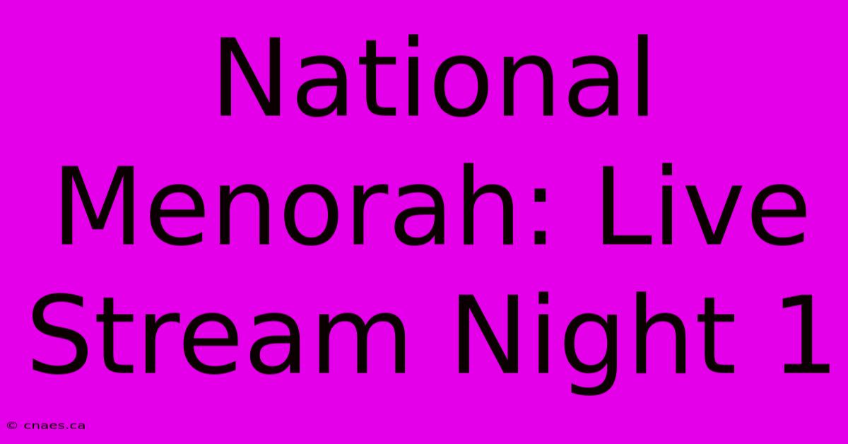 National Menorah: Live Stream Night 1