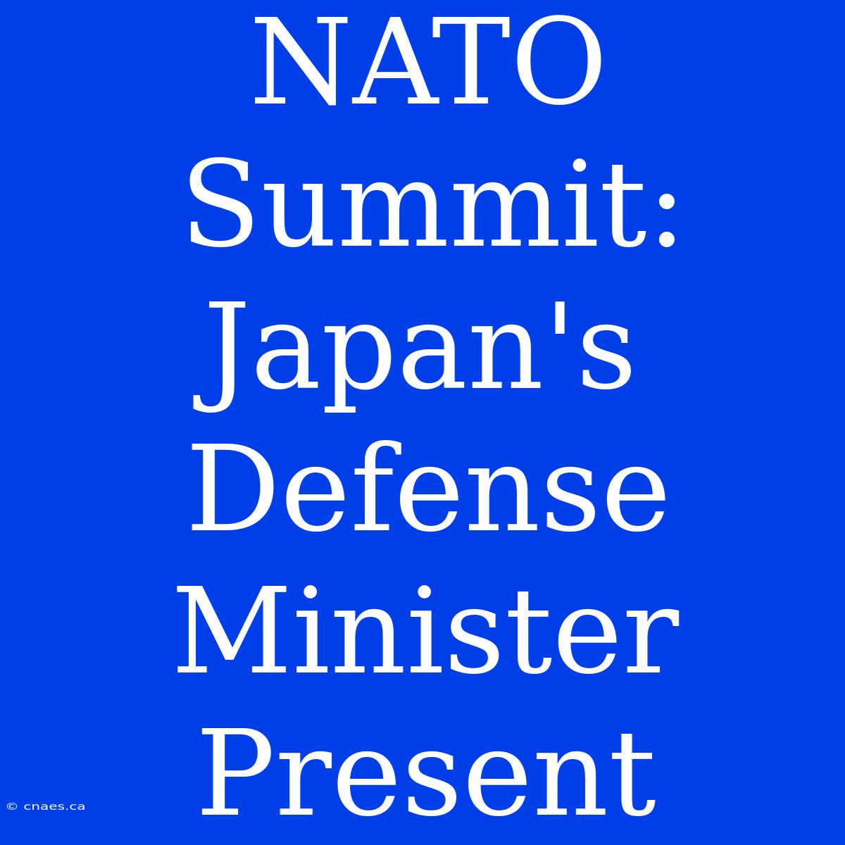 NATO Summit: Japan's Defense Minister Present