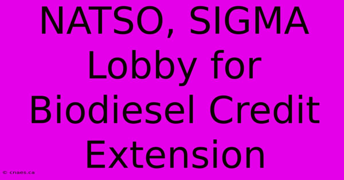 NATSO, SIGMA Lobby For Biodiesel Credit Extension