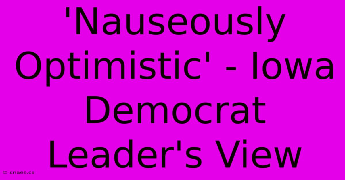 'Nauseously Optimistic' - Iowa Democrat Leader's View