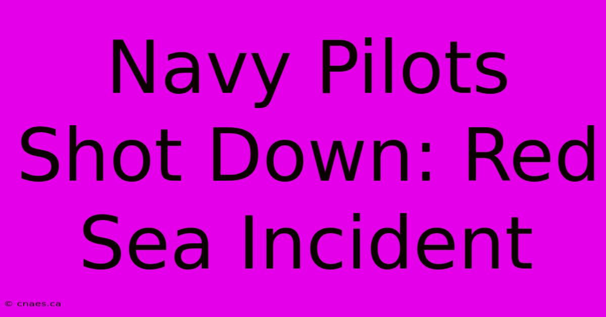 Navy Pilots Shot Down: Red Sea Incident