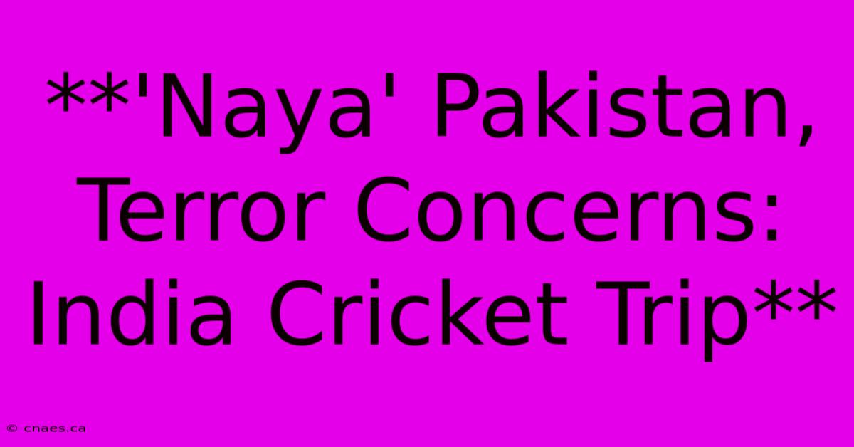 **'Naya' Pakistan, Terror Concerns: India Cricket Trip**