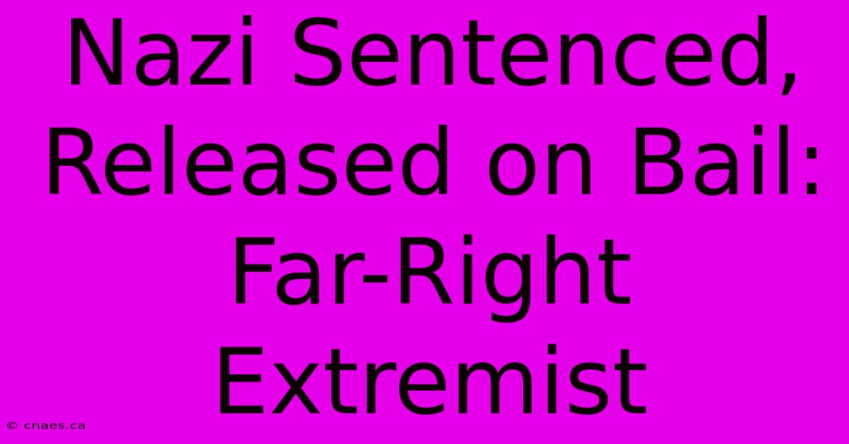 Nazi Sentenced, Released On Bail: Far-Right Extremist