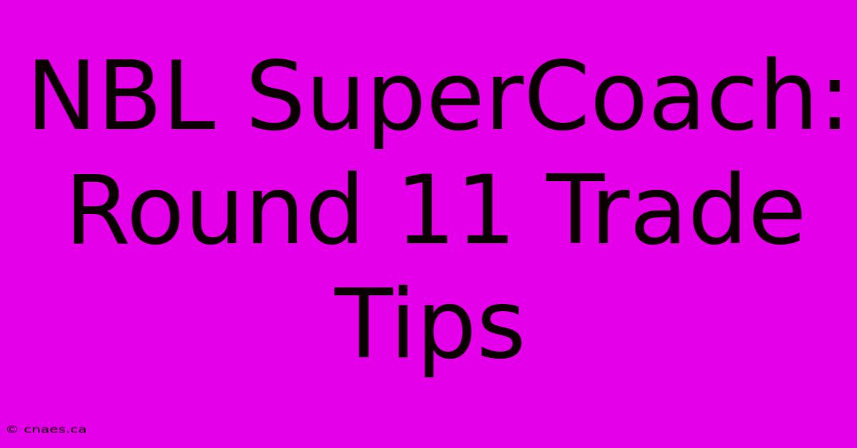 NBL SuperCoach: Round 11 Trade Tips