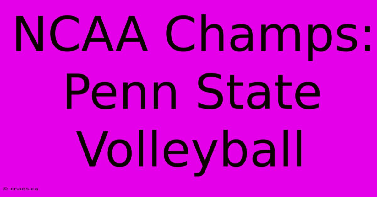 NCAA Champs: Penn State Volleyball