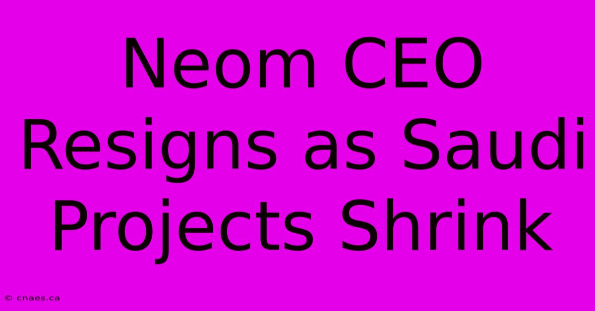 Neom CEO Resigns As Saudi Projects Shrink