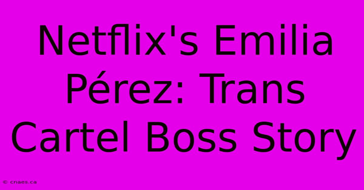 Netflix's Emilia Pérez: Trans Cartel Boss Story