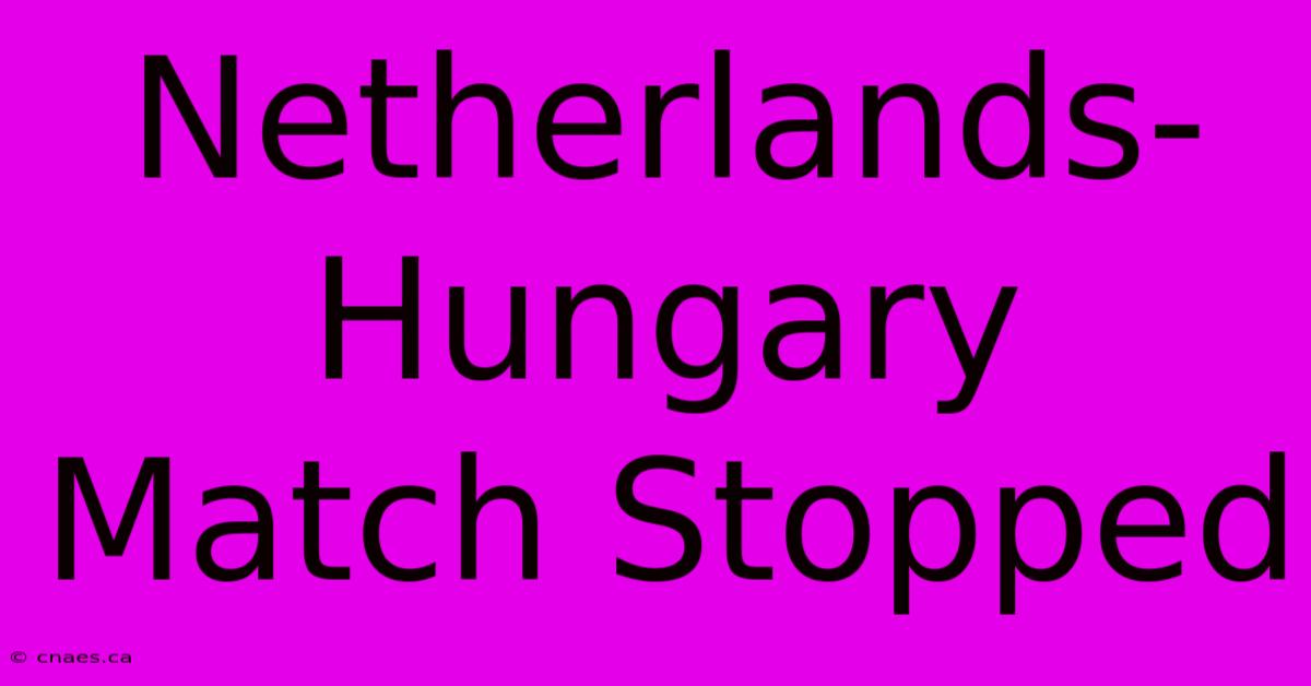 Netherlands-Hungary Match Stopped