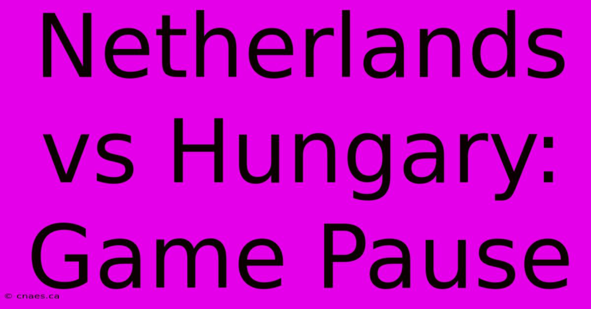 Netherlands Vs Hungary: Game Pause