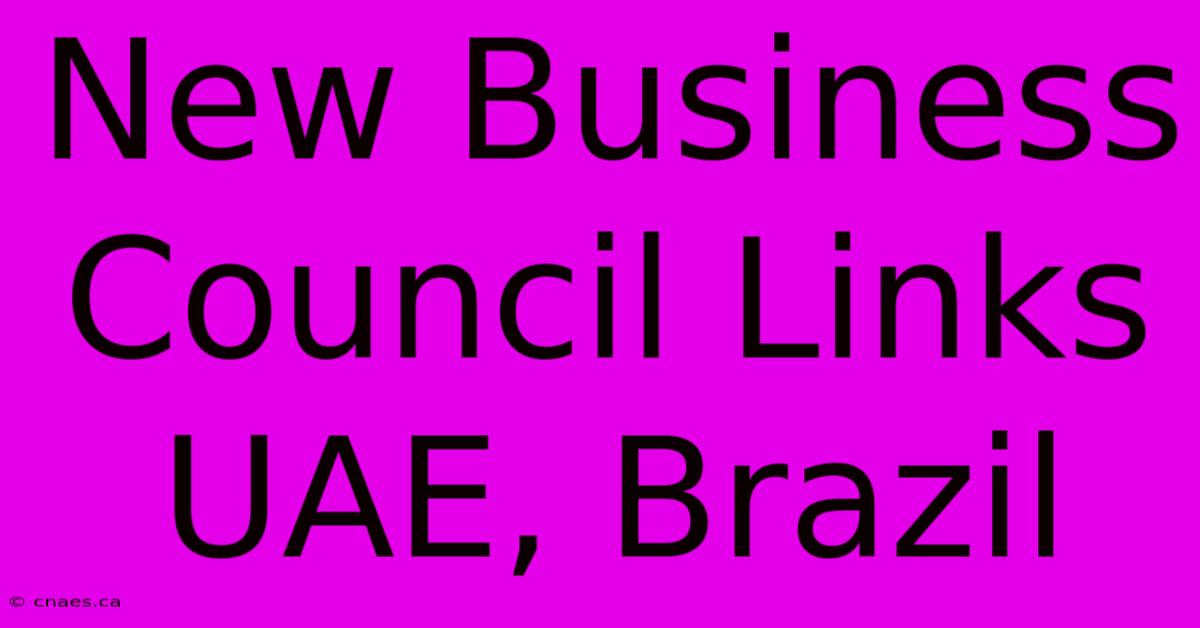 New Business Council Links UAE, Brazil