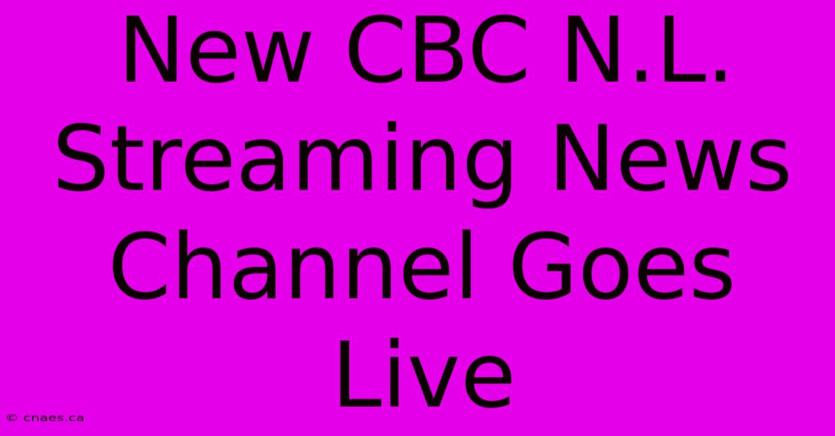 New CBC N.L. Streaming News Channel Goes Live