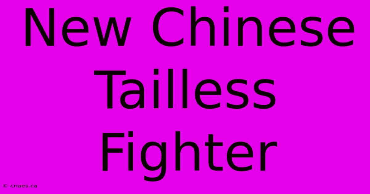 New Chinese Tailless Fighter