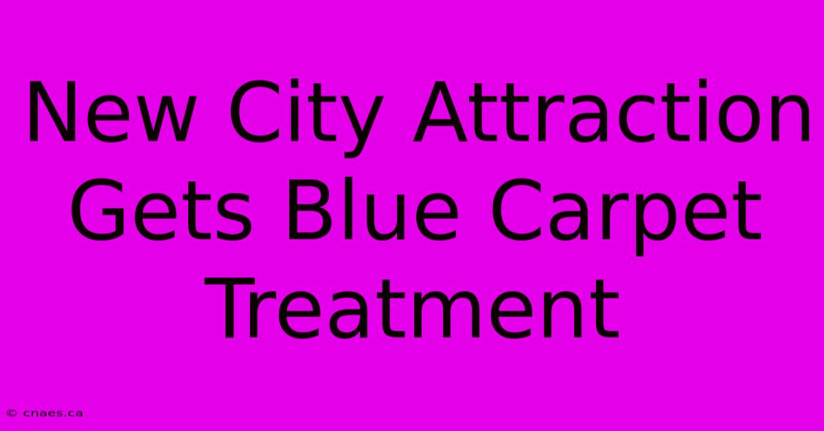 New City Attraction Gets Blue Carpet Treatment