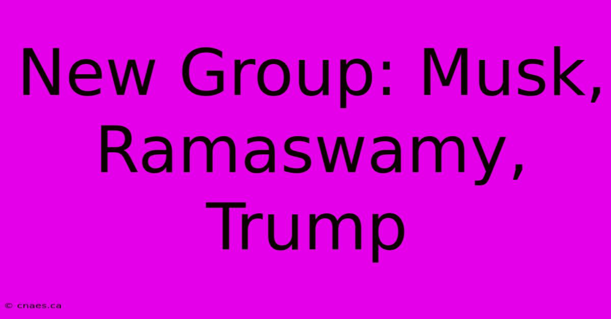 New Group: Musk, Ramaswamy, Trump