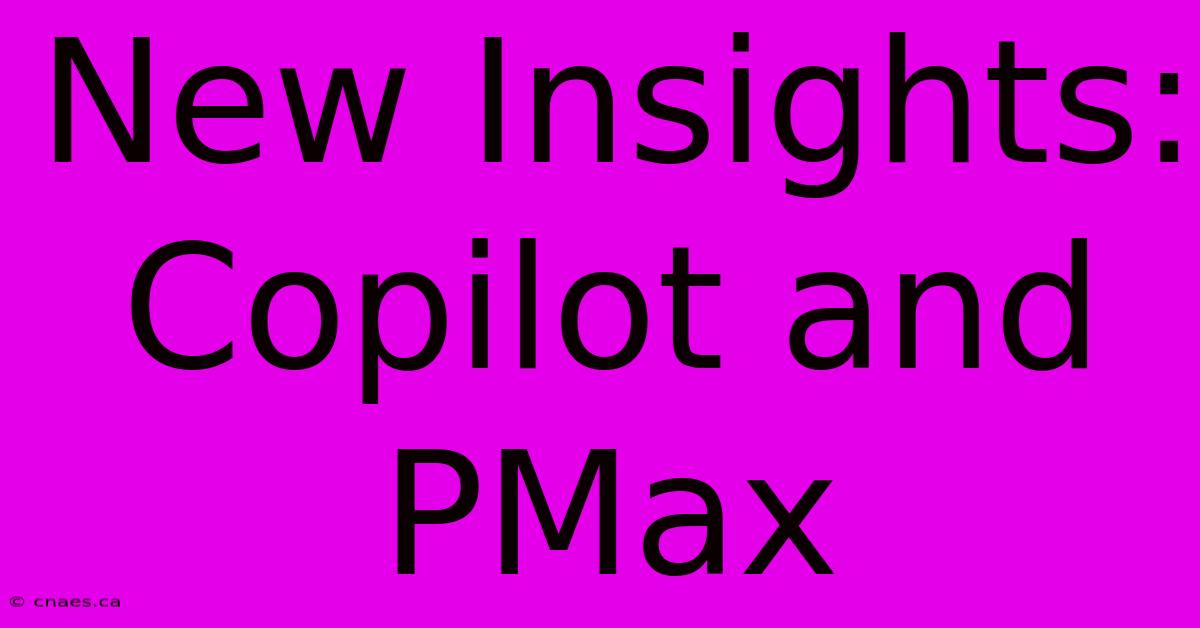 New Insights: Copilot And PMax