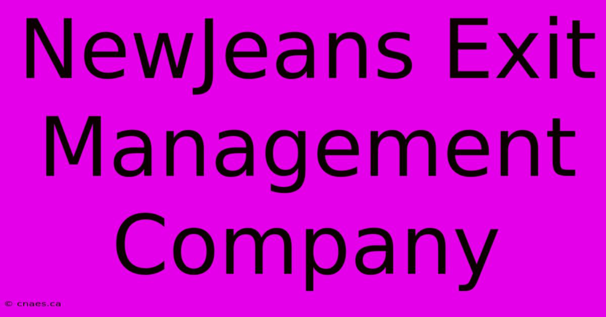 NewJeans Exit Management Company