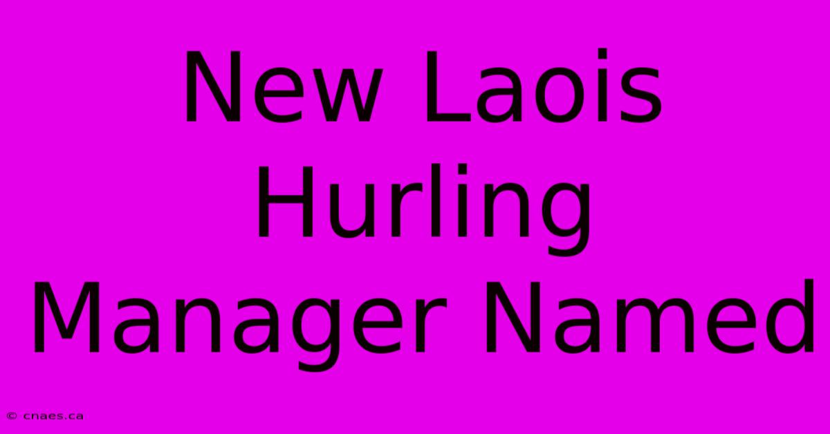 New Laois Hurling Manager Named