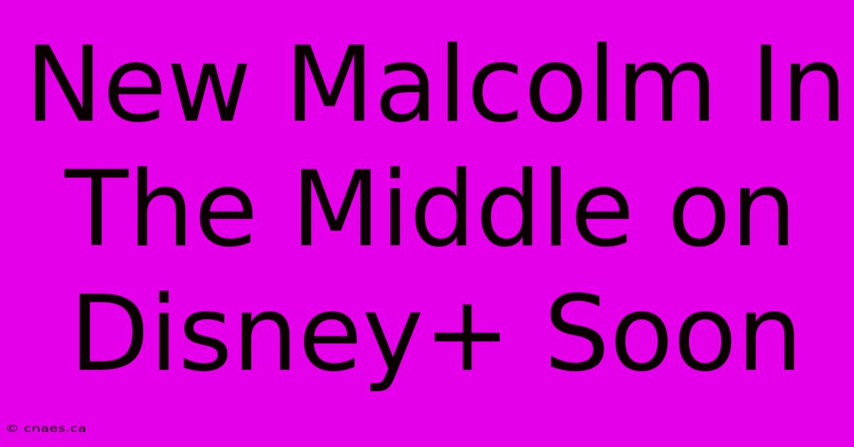 New Malcolm In The Middle On Disney+ Soon