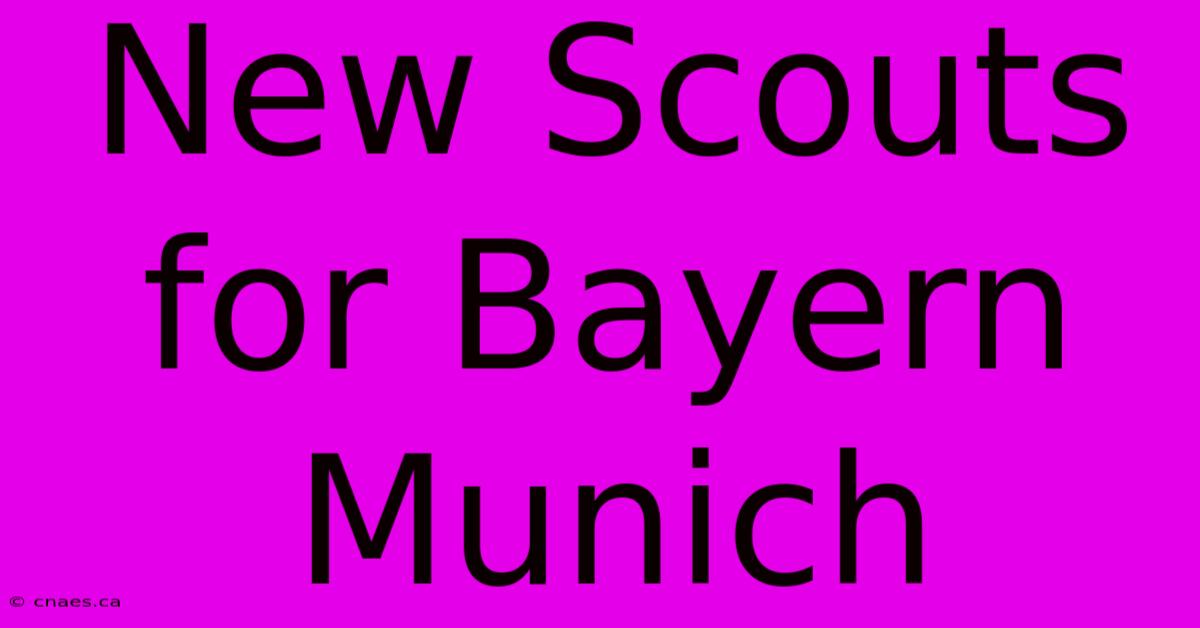 New Scouts For Bayern Munich