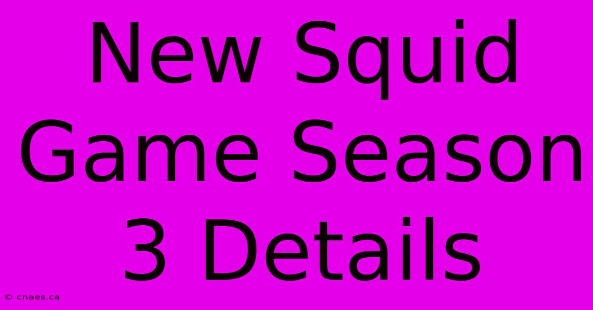 New Squid Game Season 3 Details