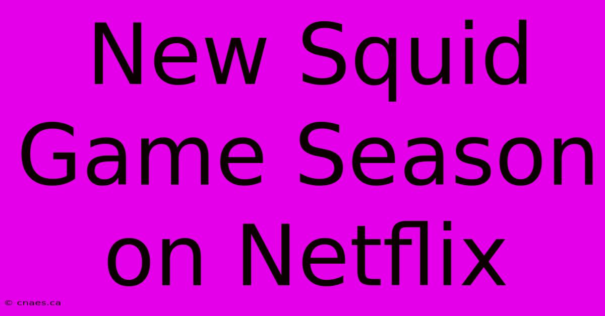 New Squid Game Season On Netflix