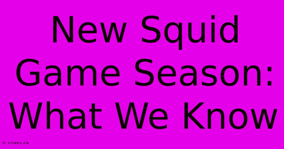 New Squid Game Season: What We Know