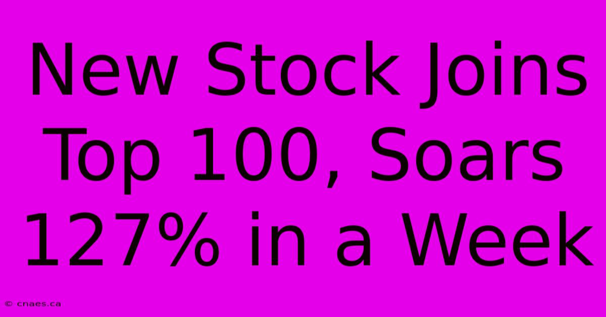 New Stock Joins Top 100, Soars 127% In A Week