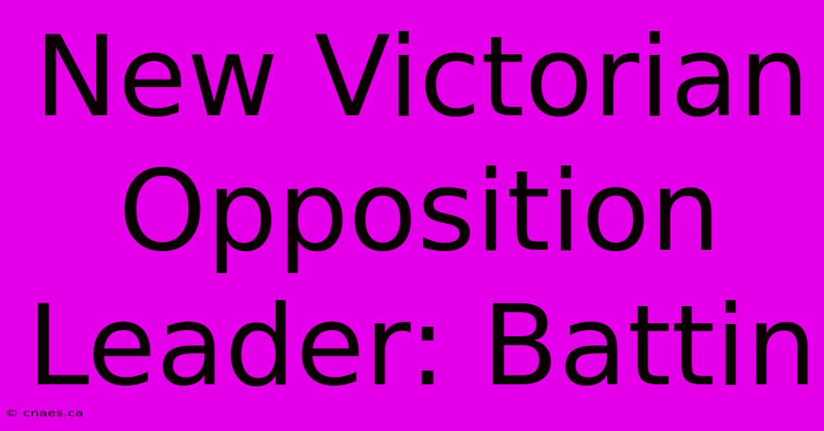 New Victorian Opposition Leader: Battin