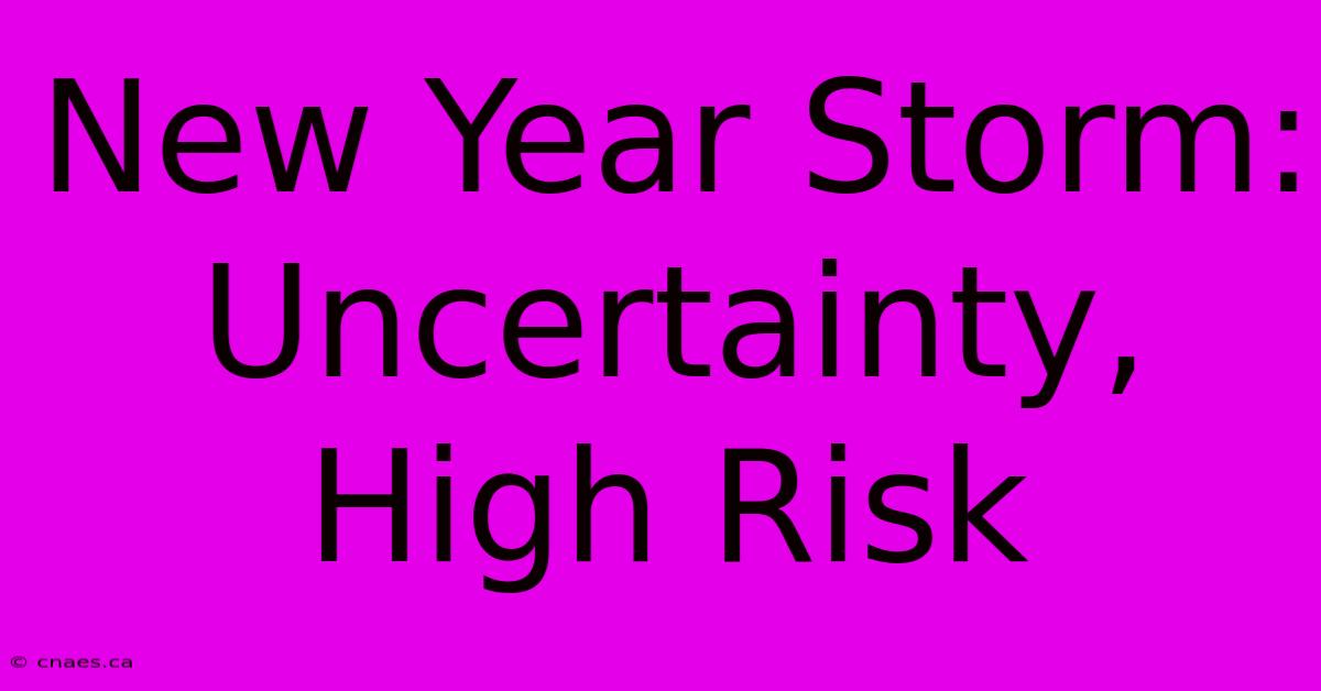 New Year Storm: Uncertainty, High Risk