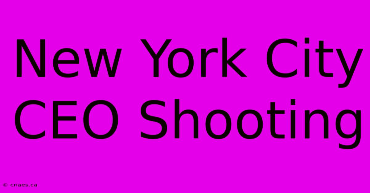 New York City CEO Shooting