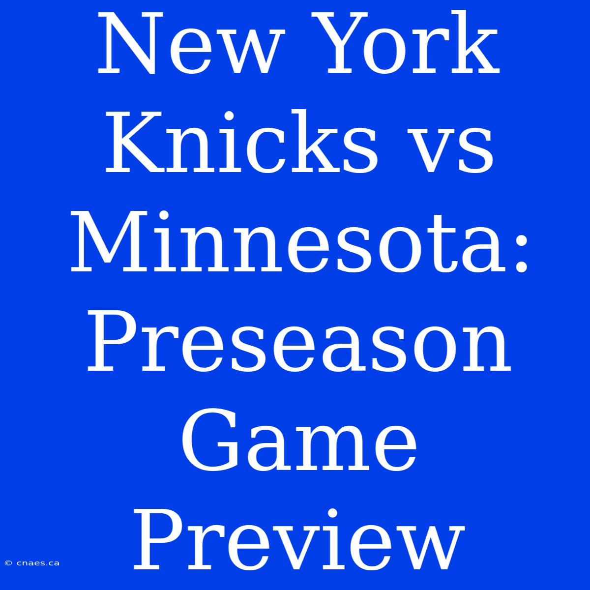 New York Knicks Vs Minnesota: Preseason Game Preview