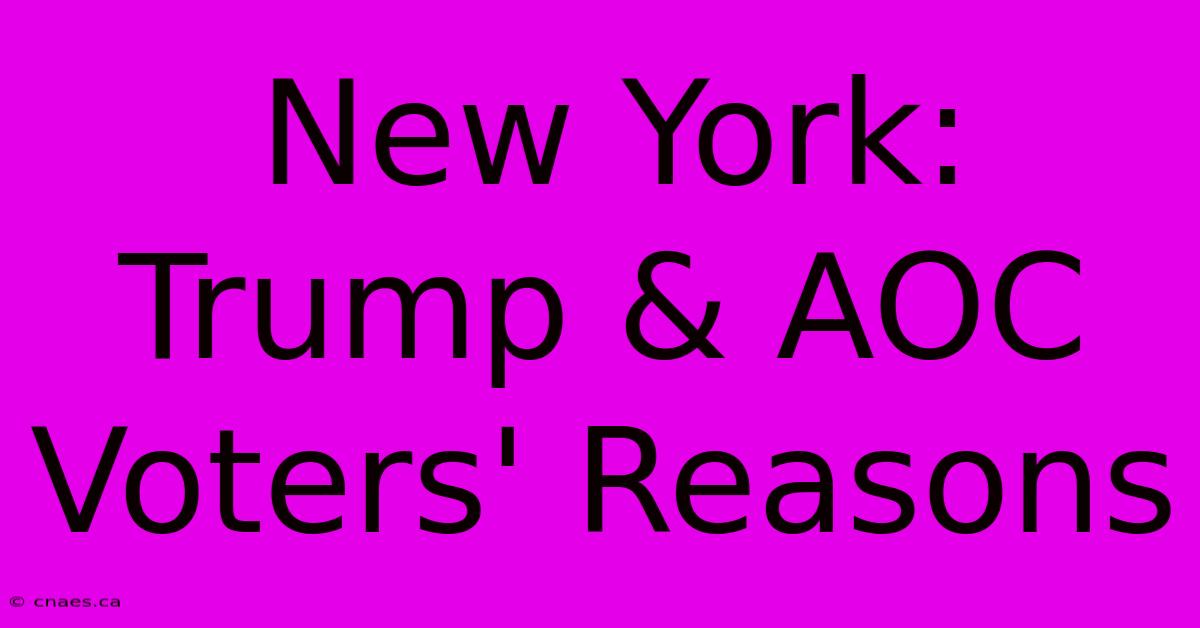 New York: Trump & AOC Voters' Reasons