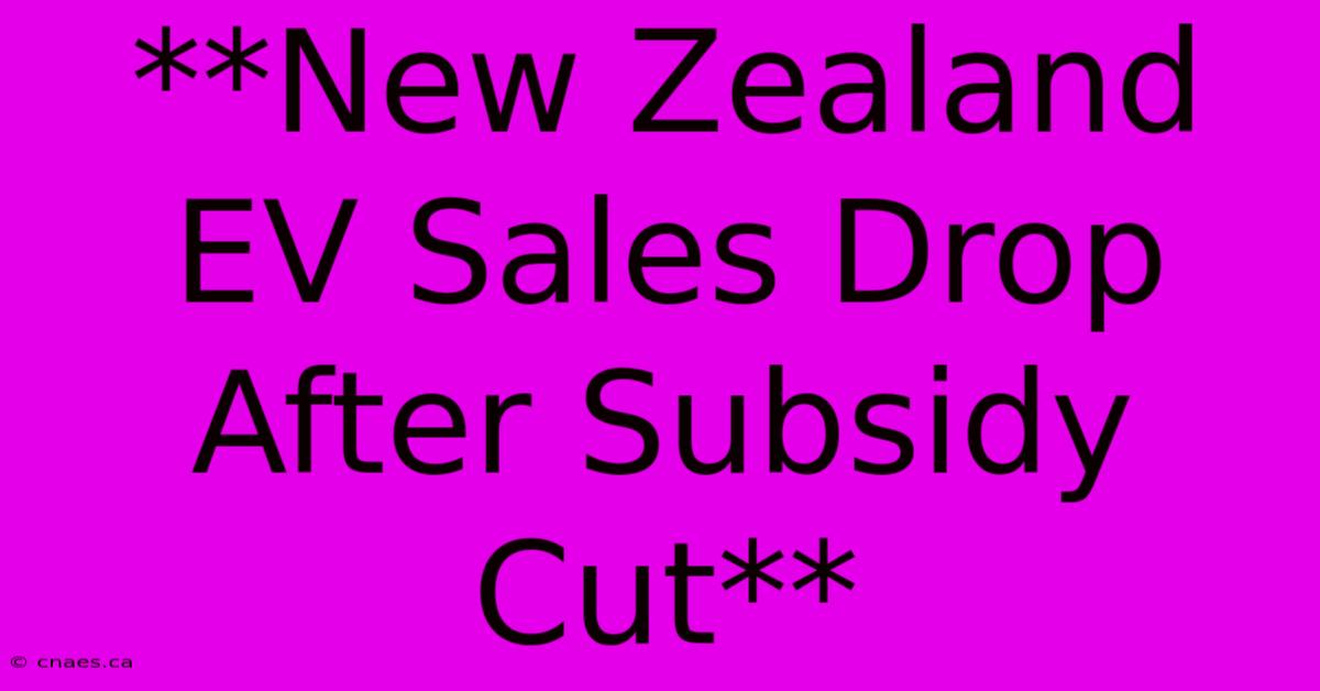 **New Zealand EV Sales Drop After Subsidy Cut**