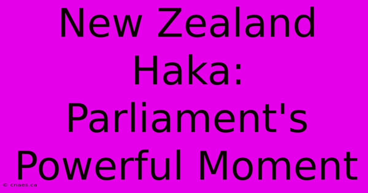 New Zealand Haka: Parliament's Powerful Moment