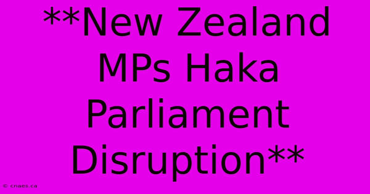 **New Zealand MPs Haka Parliament Disruption**