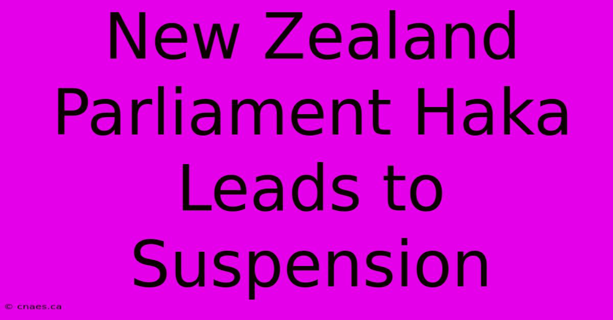 New Zealand Parliament Haka Leads To Suspension