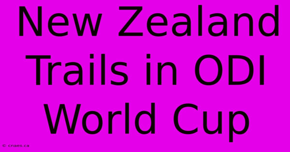 New Zealand Trails In ODI World Cup