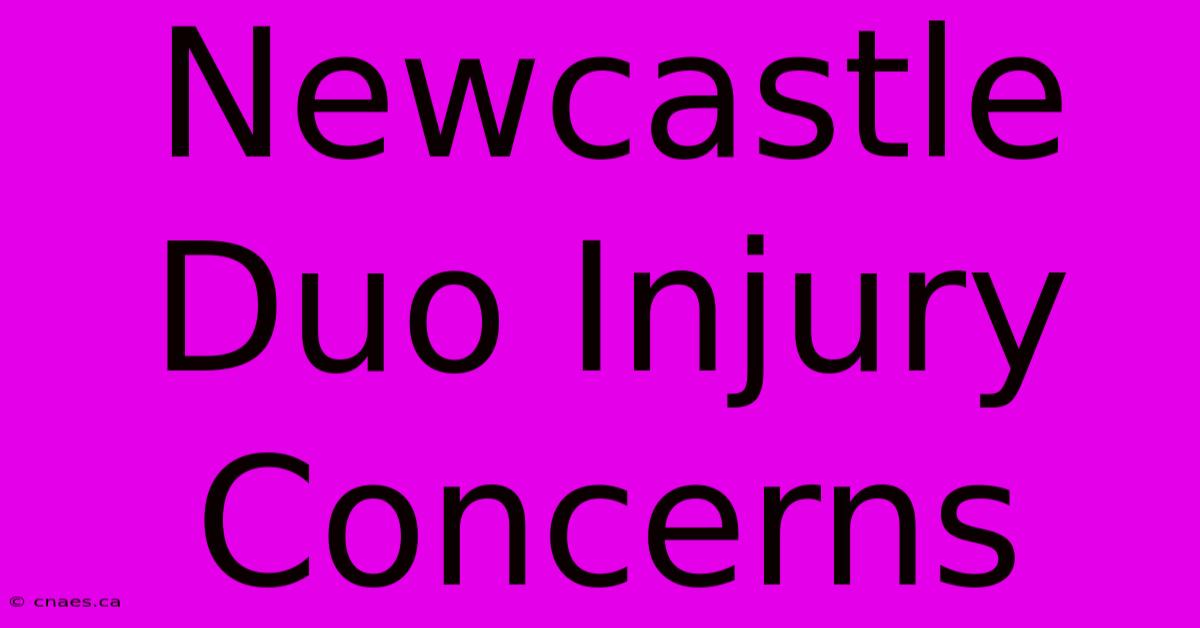 Newcastle Duo Injury Concerns