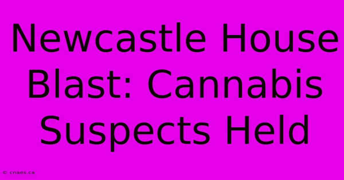 Newcastle House Blast: Cannabis Suspects Held