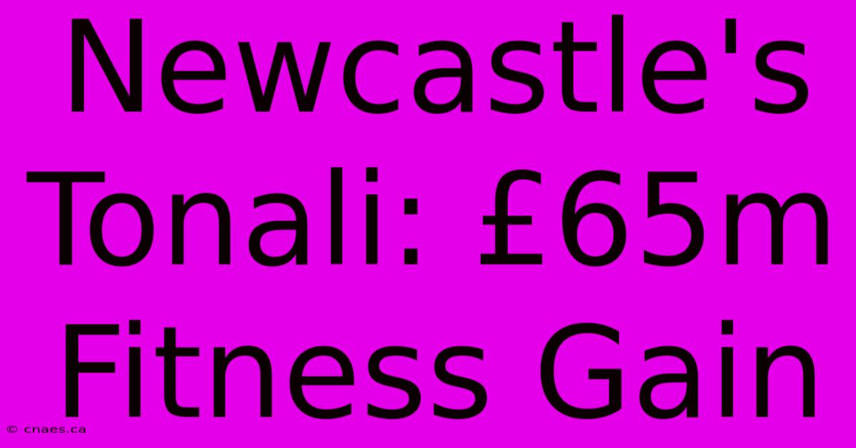 Newcastle's Tonali: £65m Fitness Gain