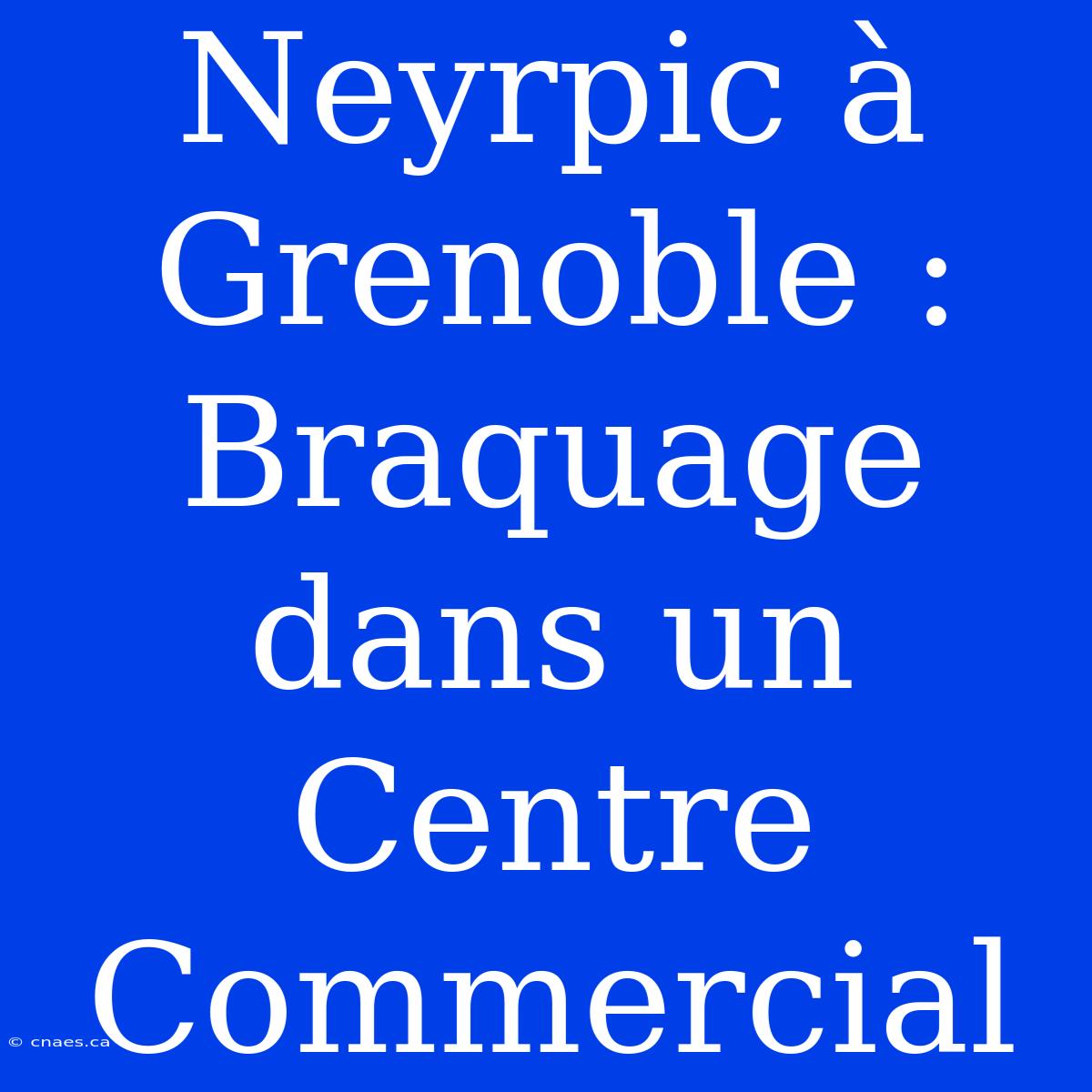 Neyrpic À Grenoble : Braquage Dans Un Centre Commercial