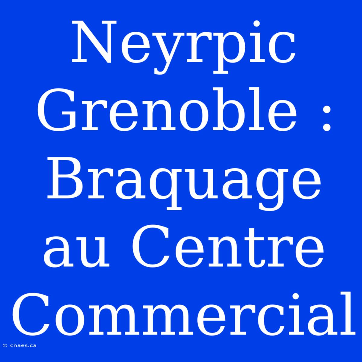 Neyrpic Grenoble : Braquage Au Centre Commercial