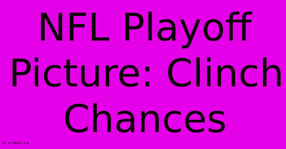 NFL Playoff Picture: Clinch Chances