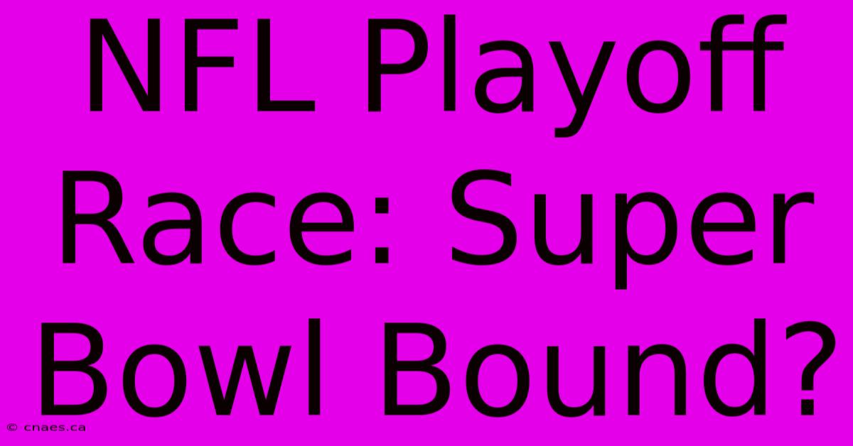 NFL Playoff Race: Super Bowl Bound?