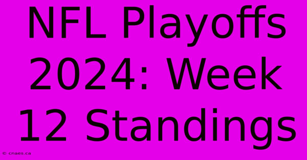 NFL Playoffs 2024: Week 12 Standings