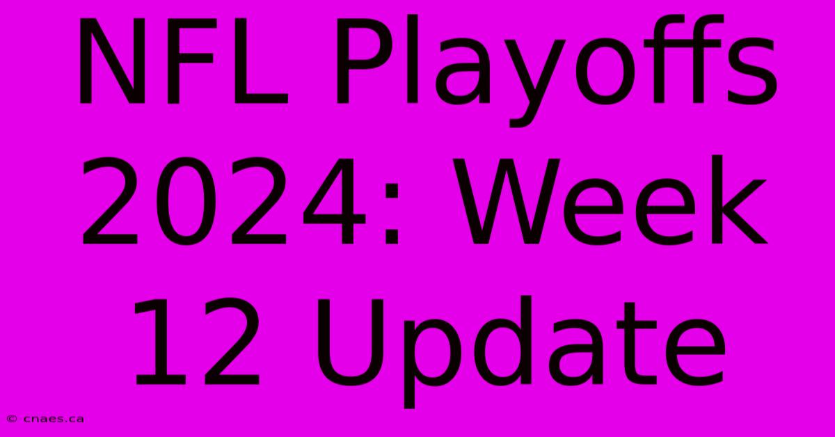 NFL Playoffs 2024: Week 12 Update