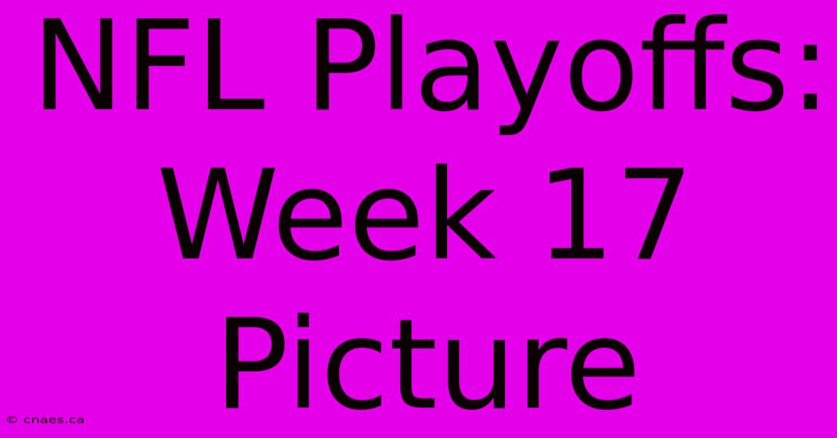 NFL Playoffs: Week 17 Picture