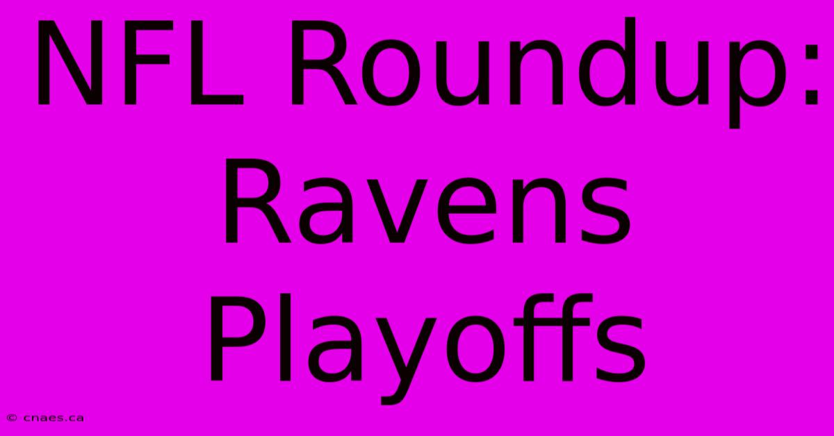 NFL Roundup: Ravens Playoffs