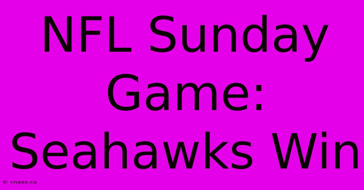 NFL Sunday Game: Seahawks Win